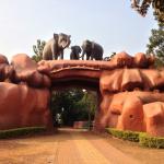 Chandaka Elephant Sanctuary