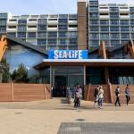 Sea Life Scheveningen