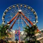 Miami-dade County Fair And Exposition
