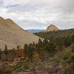 Wildcat Canyon Trail