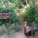 Stevens Trail
