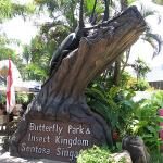 Butterfly Park And Insect Kingdom
