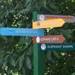 Langkawi Elephant Adventures
