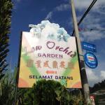 Orchids Farm