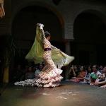 Museo Del Baile Flamenco