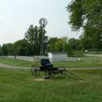 The Amish Farm And House