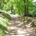 National Trust - Abinger Roughs And Netley Park