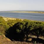 Playa Flecha Nueva Umbria El Rompido Huelva