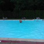 Lawton W. Shroyer Memorial Swimming Pool