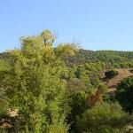 Montes De Malaga Natural Park