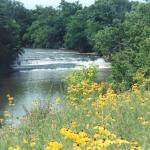Greenville Falls State Scenic River Area