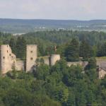 Burg Schonecken