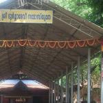 Thrikkavu Temple