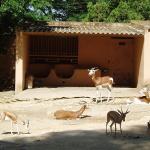 Zoobotanico Jerez