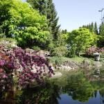 Kasugai Japanese Garden