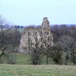 Conzie Castle (bognie Castle)
