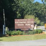 Pocomoke River State Park