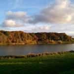 Sywell Country Park (ecton)