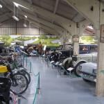 Bentley Wildfowl And Motor Museum 