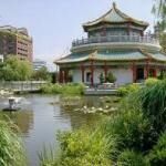 Pagoda And Oriental Garden