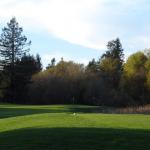 Foxtail South Golf Course 