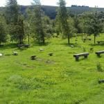 Clayton Wood Natural Burial Ground 