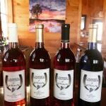 Cassel Vineyards Of Hershey