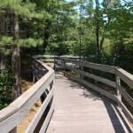 Michigan Tech Trails And Nara Nature Park