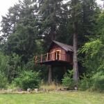 Treehouse Island Zipline Adventures