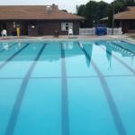 Wolfe Park Swimming Pool