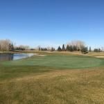 The Willows Golf And Country Club