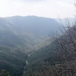 Hawksbill Mountain Trail