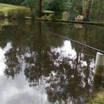 Marysville Trout And Salmon Ponds