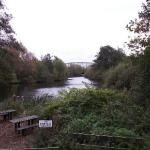 Trafford Ecology Park (trafford)