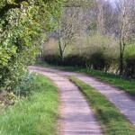 Cosford Grange Woodland Walk