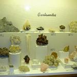 Museum Of Geology