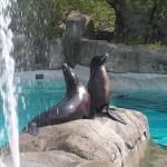 Pittsburgh Zoo And Ppg Aquarium