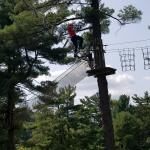 Go Ape Zip Line And Treetop Adventure - North Park
