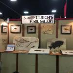 Ulrichs Fossil Gallery