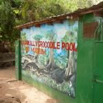 Katchikali Sacred Crocodile Pool
