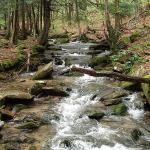 Allegheny National Forest Visitors Bureau