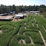 West Farm Corn Maze