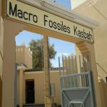 Macro Fossiles Kasbah