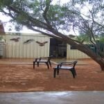 Josephines Gallery And Kangaroo Orphanage