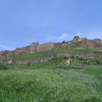 Gori Castle