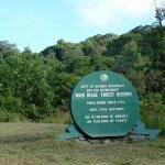 Tobago Main Ridge Forest Reserve