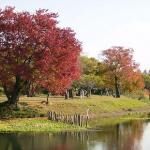 Suizenji Ezuko Park